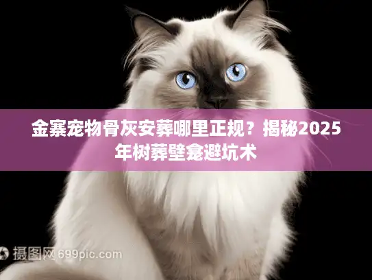 金寨宠物骨灰安葬哪里正规？揭秘2025年树葬壁龛避坑术