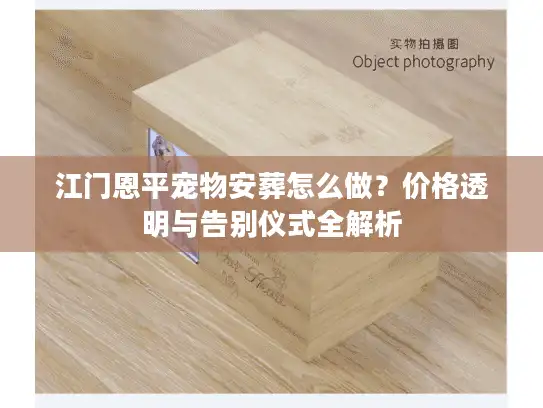 江门恩平宠物安葬怎么做？价格透明与告别仪式全解析