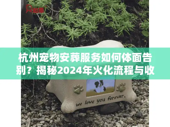 杭州宠物安葬服务如何体面告别？揭秘2024年火化流程与收费标准
