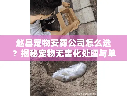 赵县宠物安葬公司怎么选？揭秘宠物无害化处理与单独火化内幕