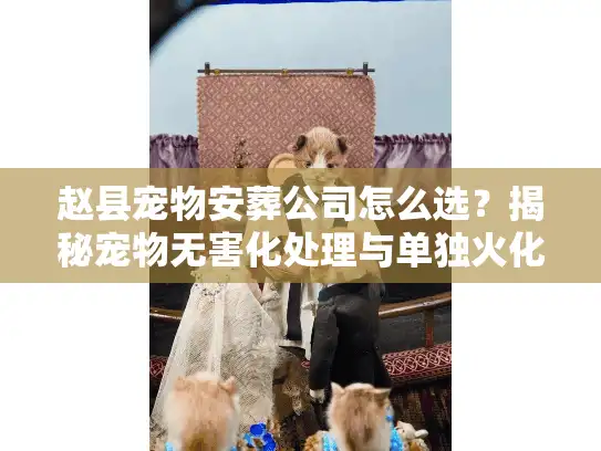 赵县宠物安葬公司怎么选？揭秘宠物无害化处理与单独火化内幕