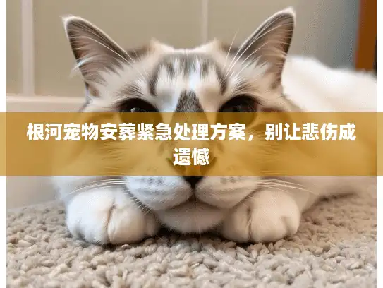 根河宠物安葬紧急处理方案，别让悲伤成遗憾