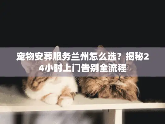 宠物安葬服务兰州怎么选？揭秘24小时上门告别全流程