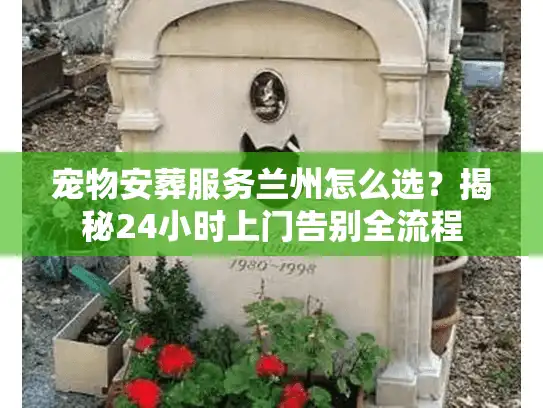 宠物安葬服务兰州怎么选？揭秘24小时上门告别全流程