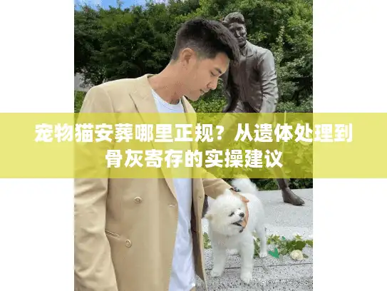 宠物猫安葬哪里正规？从遗体处理到骨灰寄存的实操建议