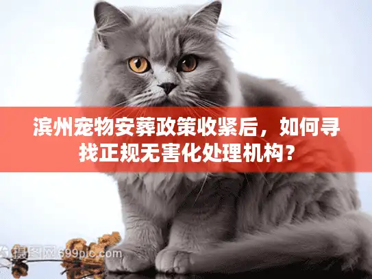 滨州宠物安葬政策收紧后，如何寻找正规无害化处理机构？