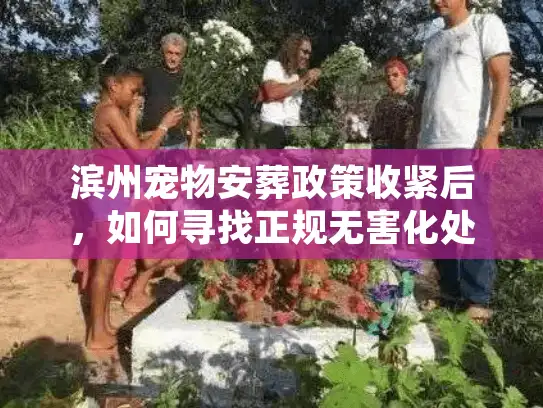 滨州宠物安葬政策收紧后，如何寻找正规无害化处理机构？