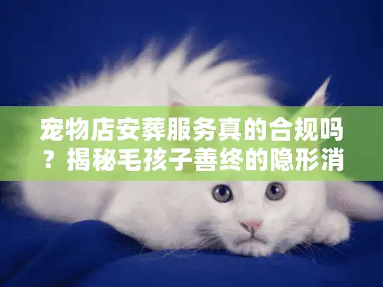 宠物店安葬服务真的合规吗？揭秘毛孩子善终的隐形消费与正规流程