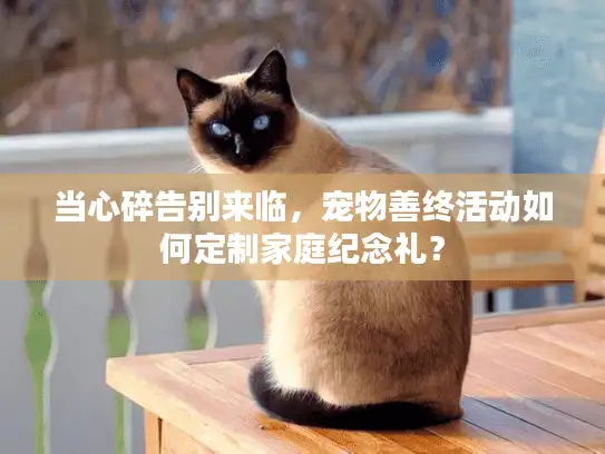 当心碎告别来临，宠物善终活动如何定制家庭纪念礼？