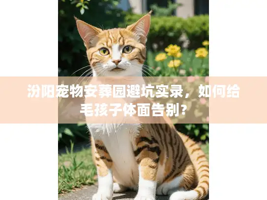 汾阳宠物安葬园避坑实录，如何给毛孩子体面告别？