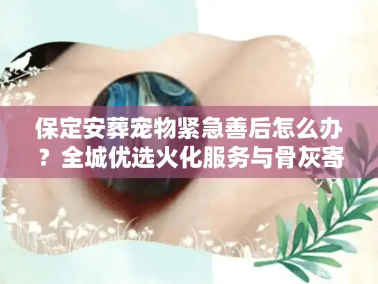 保定安葬宠物紧急善后怎么办？全城优选火化服务与骨灰寄存方案