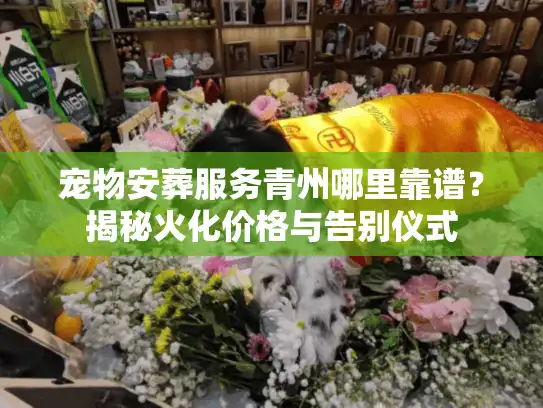 宠物安葬服务青州哪里靠谱？揭秘火化价格与告别仪式