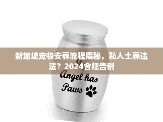 新加坡宠物安葬流程揭秘，私人土葬违法？2024合规告别