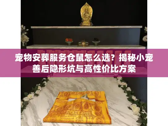 宠物安葬服务仓鼠怎么选？揭秘小宠善后隐形坑与高性价比方案