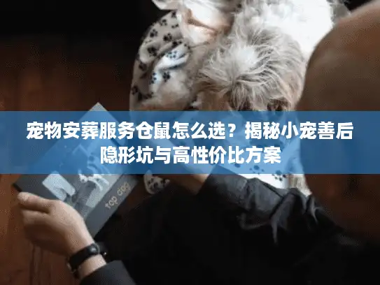 宠物安葬服务仓鼠怎么选？揭秘小宠善后隐形坑与高性价比方案