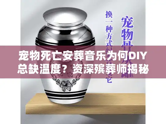 宠物死亡安葬音乐为何DIY总缺温度？资深殡葬师揭秘告别声景
