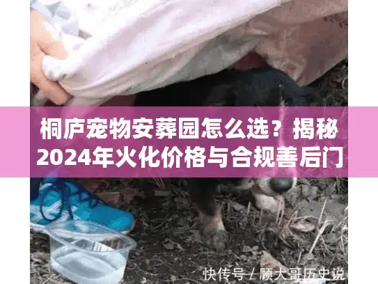 桐庐宠物安葬园怎么选？揭秘2024年火化价格与合规善后门道