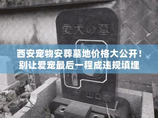 西安宠物安葬墓地价格大公开！别让爱宠最后一程成违规填埋