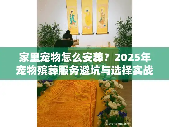 家里宠物怎么安葬？2025年宠物殡葬服务避坑与选择实战
