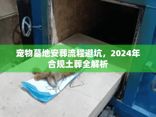 宠物墓地安葬流程避坑，2024年合规土葬全解析