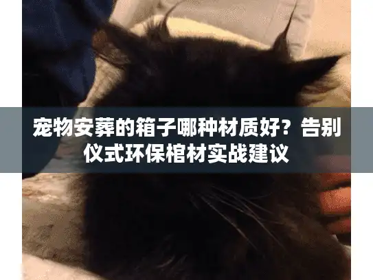 宠物安葬的箱子哪种材质好？告别仪式环保棺材实战建议