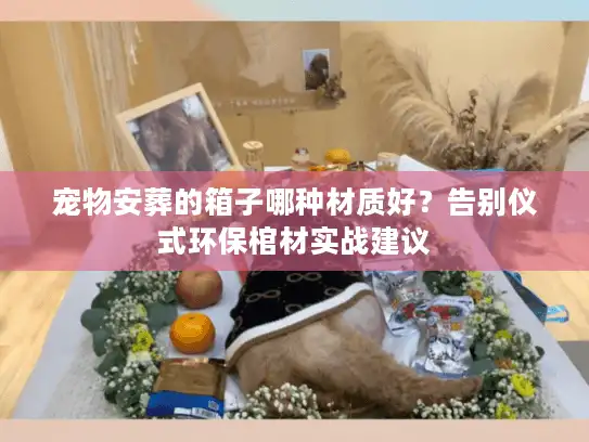 宠物安葬的箱子哪种材质好？告别仪式环保棺材实战建议