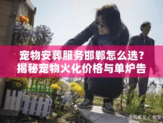 宠物安葬服务邯郸怎么选？揭秘宠物火化价格与单炉告别仪式全流程