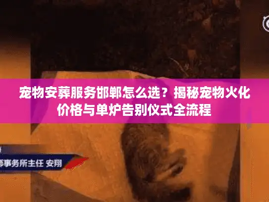 宠物安葬服务邯郸怎么选？揭秘宠物火化价格与单炉告别仪式全流程