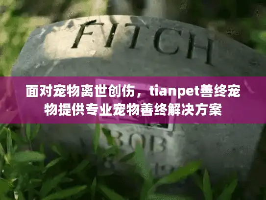面对宠物离世创伤，tianpet善终宠物提供专业宠物善终解决方案