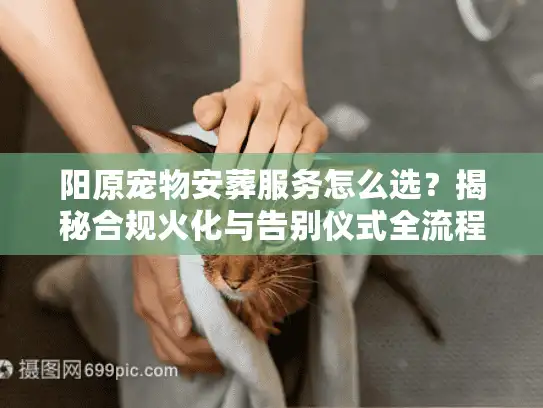 阳原宠物安葬服务怎么选？揭秘合规火化与告别仪式全流程