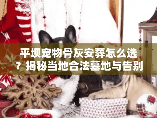 平坝宠物骨灰安葬怎么选？揭秘当地合法墓地与告别避坑实录