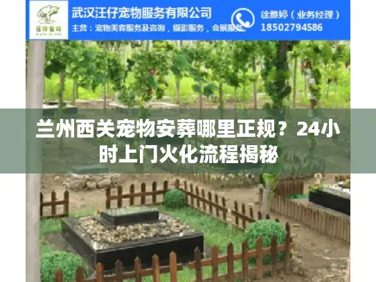 兰州西关宠物安葬哪里正规？24小时上门火化流程揭秘