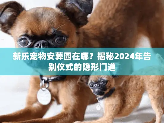 新乐宠物安葬园在哪？揭秘2024年告别仪式的隐形门道
