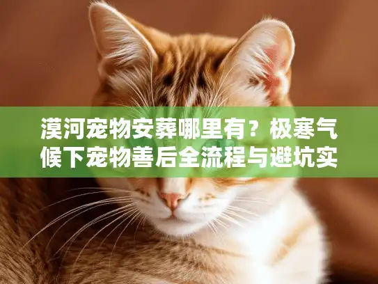 漠河宠物安葬哪里有？极寒气候下宠物善后全流程与避坑实录