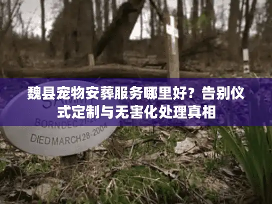魏县宠物安葬服务哪里好？告别仪式定制与无害化处理真相