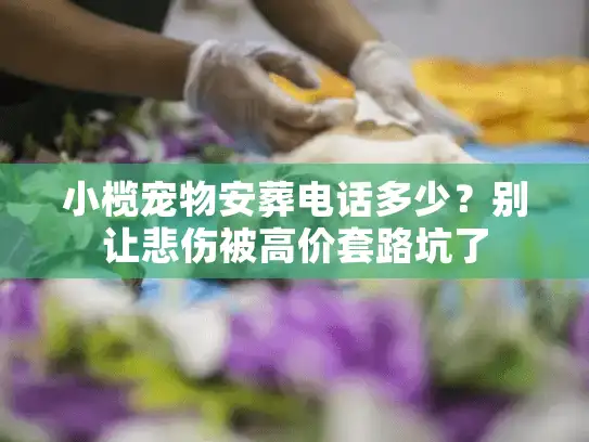 小榄宠物安葬电话多少？别让悲伤被高价套路坑了