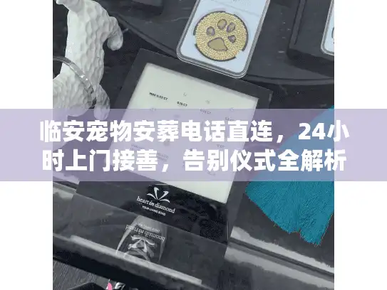 临安宠物安葬电话直连，24小时上门接善，告别仪式全解析