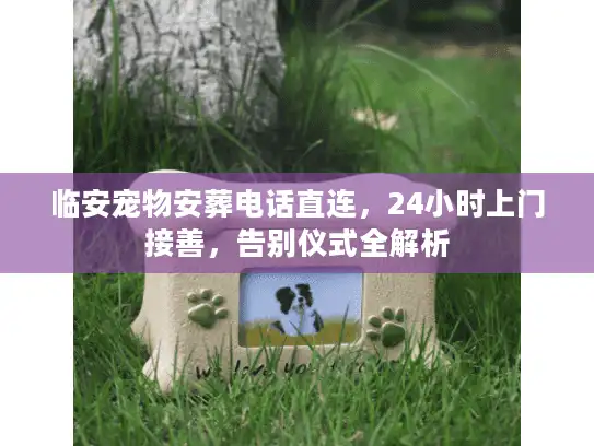 临安宠物安葬电话直连，24小时上门接善，告别仪式全解析