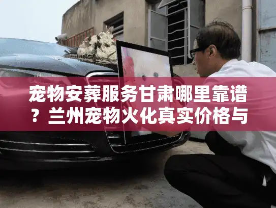 宠物安葬服务甘肃哪里靠谱？兰州宠物火化真实价格与流程