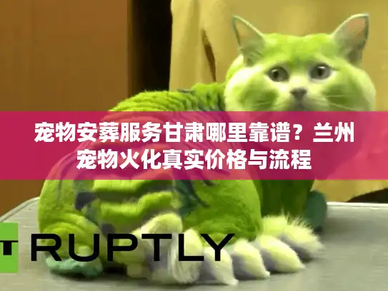 宠物安葬服务甘肃哪里靠谱？兰州宠物火化真实价格与流程