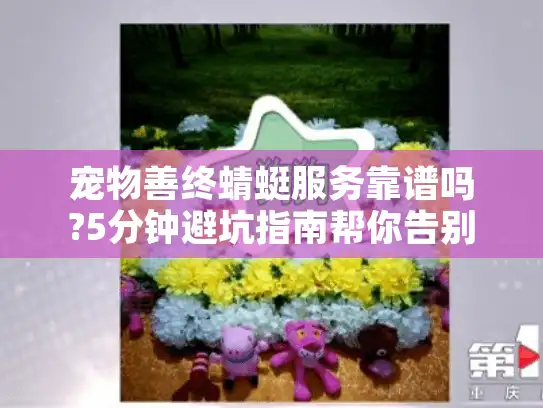宠物善终蜻蜓服务靠谱吗?5分钟避坑指南帮你告别隐形消费
