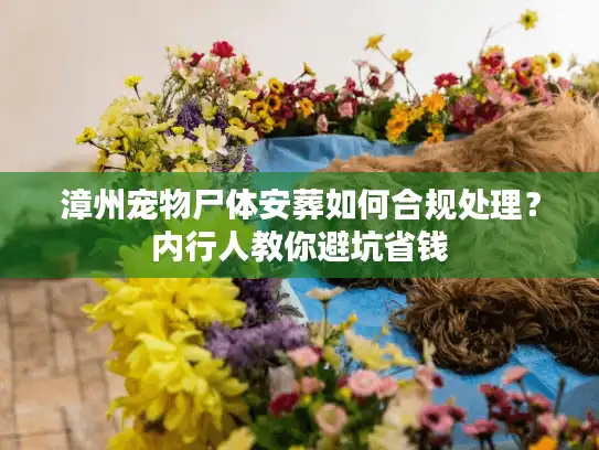 漳州宠物尸体安葬如何合规处理？内行人教你避坑省钱