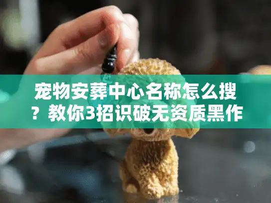 宠物安葬中心名称怎么搜？教你3招识破无资质黑作坊
