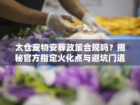 太仓宠物安葬政策合规吗？揭秘官方指定火化点与避坑门道