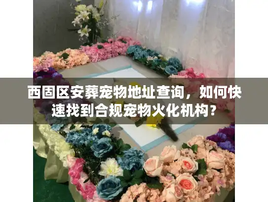 西固区安葬宠物地址查询，如何快速找到合规宠物火化机构？