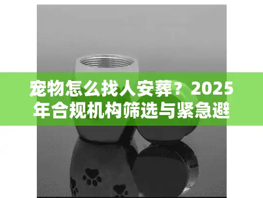 宠物怎么找人安葬？2025年合规机构筛选与紧急避坑实录