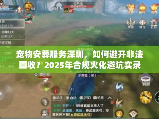 宠物安葬服务深圳，如何避开非法回收？2025年合规火化避坑实录