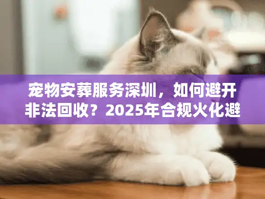 宠物安葬服务深圳，如何避开非法回收？2025年合规火化避坑实录