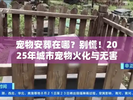 宠物安葬在哪？别慌！2025年城市宠物火化与无害化处理避坑