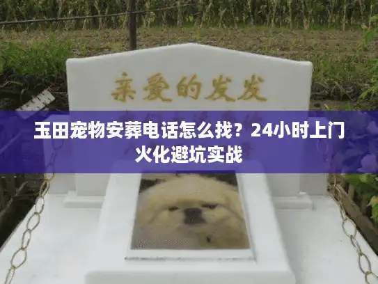 玉田宠物安葬电话怎么找？24小时上门火化避坑实战